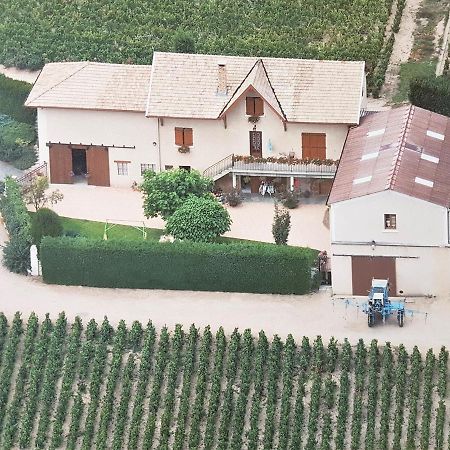 Chambres D Hotes Au Domaine De Robert Fleurie Exteriör bild